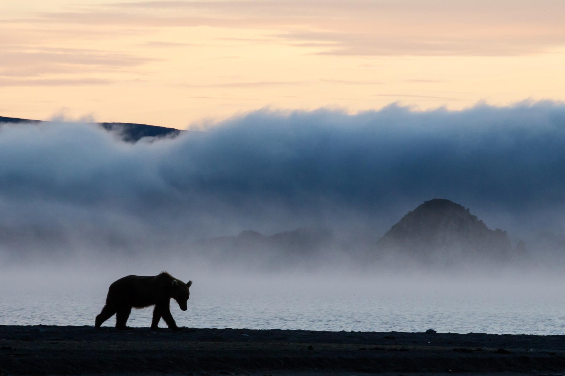 Milo Angelo Ramella - Wildlife Photographer